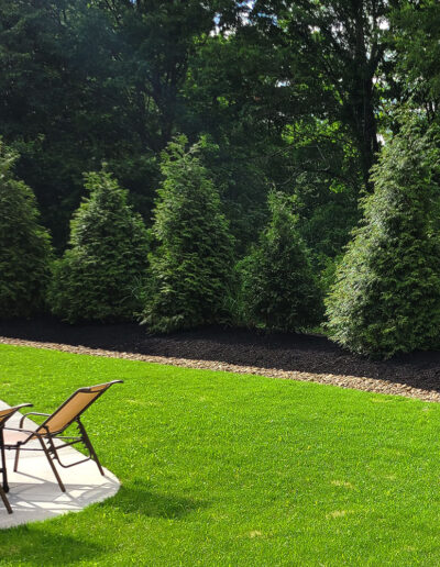 McGinn Landscaping - Privacy Trees Near Swimming Pool